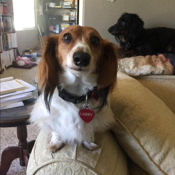 Tag me! I'm always looking! 😎 - Picture 4 of 6